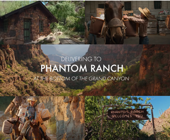 A montage of photos of Amazon delivering packages via mule to Phantom Ranch, owned by Xanterra Travel Collection®. Part of the Amazon Deliveries Around the World video series, which is the topic of this PR Case Study on Travel & Tourism.