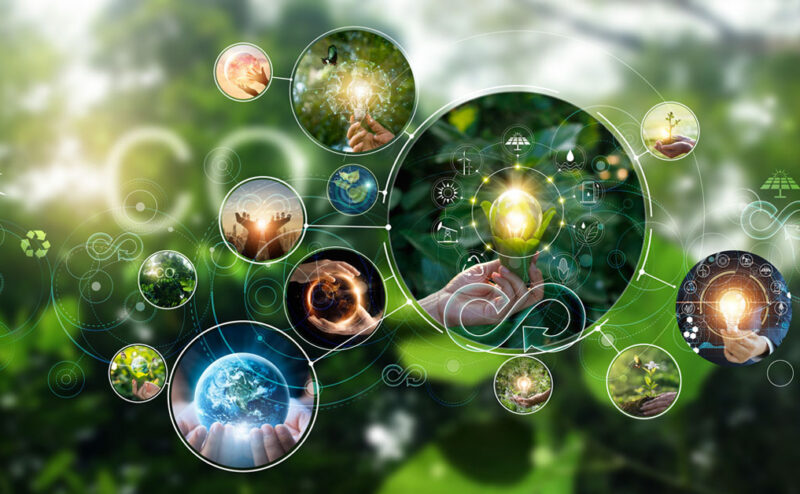 A field of green with individual bubbles of eco-friendly solutions illustrates many ways that advertising campaigns can be considered sustainable marketing.