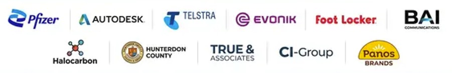 wouth jersey seo clients