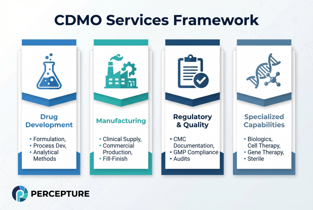 CDMO Services Framework and 4 Pillars Infographic