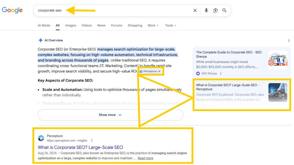 Tampa SEO and GEO strategy for #1 ranking and mentions in search engines and LLMS like Google AI Overview - shows the Golden Triangle.