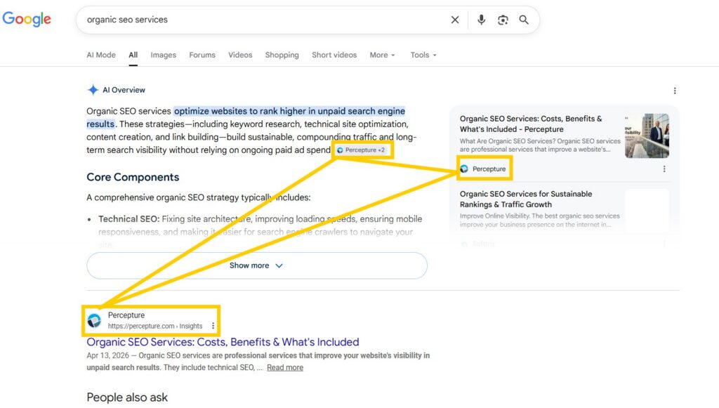 Local organic seo services in Tampa